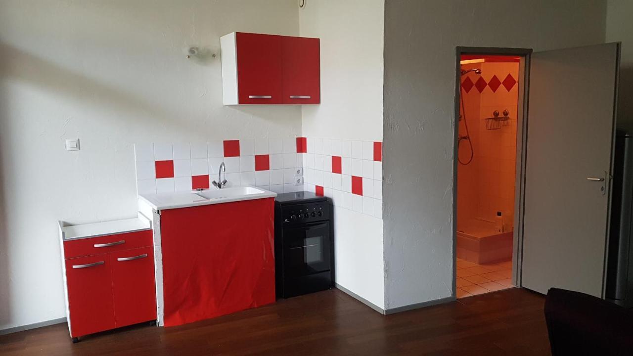 Grand Studio Et Jolies Chambres A Louer Passins Kültér fotó